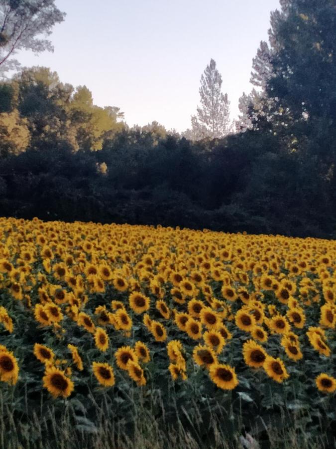 Hotel Rural El Cielo Entejado Zewnętrze zdjęcie